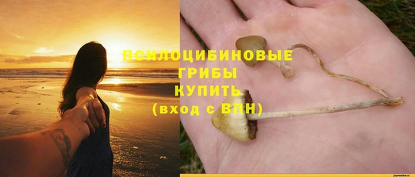 первитин Зерноград