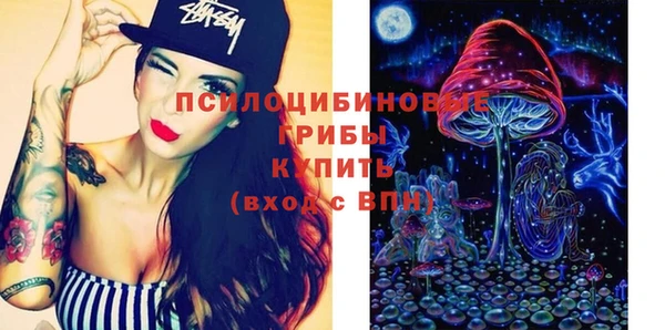 хмурый Зеленокумск