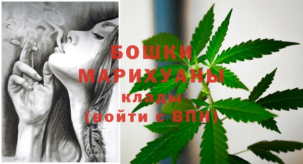 хмурый Зеленокумск