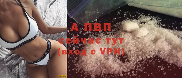 хмурый Зеленокумск