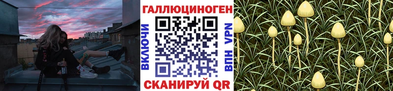 Галлюциногенные грибы Magic Shrooms  Нижнекамск 