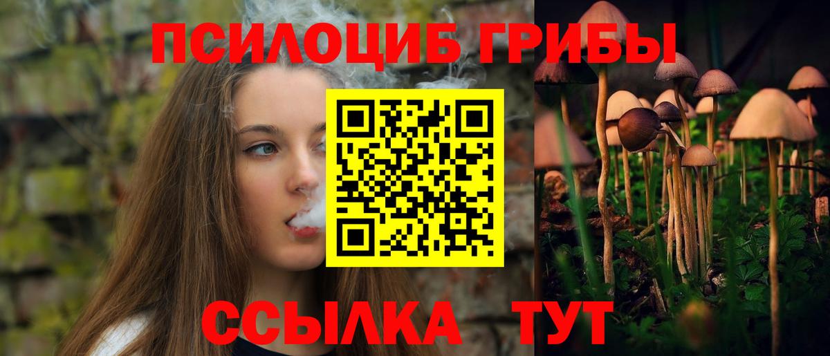 Псилоцибиновые грибы мухоморы Нижнекамск