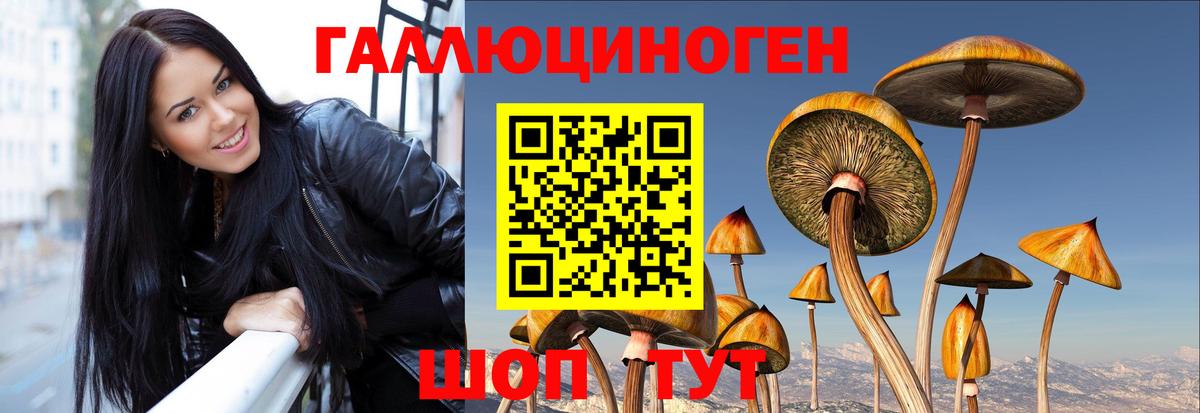 Псилоцибиновые грибы ЛСД  Вход с VPN  Галлюциногенные грибы Psilocybine cubensis  Нижнекамск 